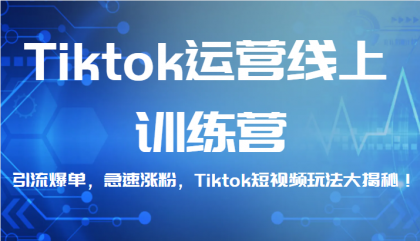 Tiktok运营线上训练营，引流爆单，急速涨粉，Tiktok短视频玩法大揭秘！
